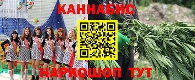 гашик Можга
