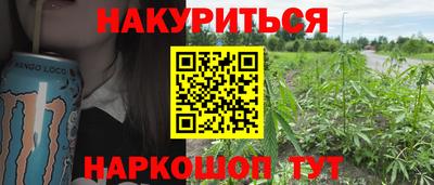 гашик Можга