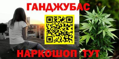 гашик Можга