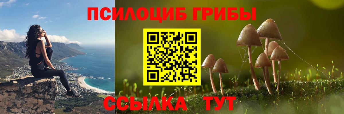 Галлюциногенные грибы мицелий Видное